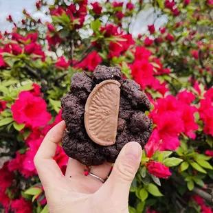 Orange double chocolate cookie