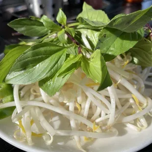 Fresh herbs and veggies for pho