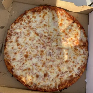 Medium cheese pizza