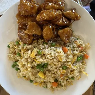 L10. Chicken with Orange Zest Lunch