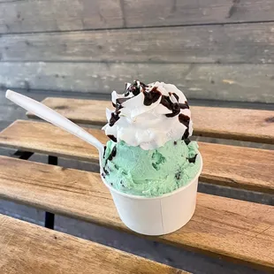 Mint Chocolate Chip Cup