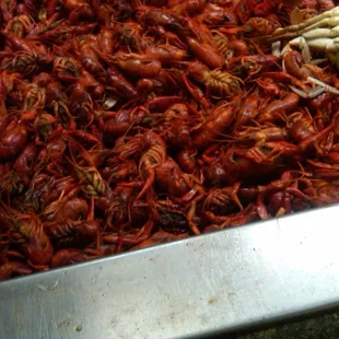 CRAWFISH and a blue crab. Too much work for little meat!