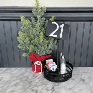  small christmas tree in a tray