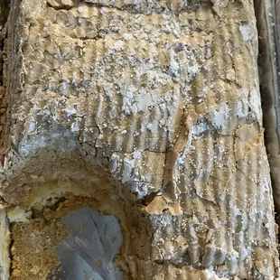 Frozen Brazo