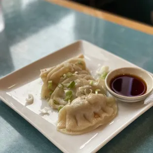 Pork Dumplings