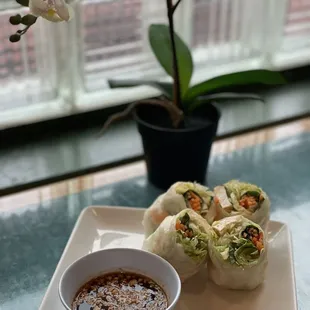 Raw Summer Dayton Rolls