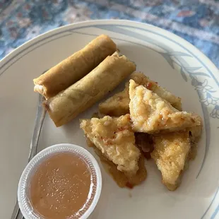 Two spring rolls and fried tofu bites
