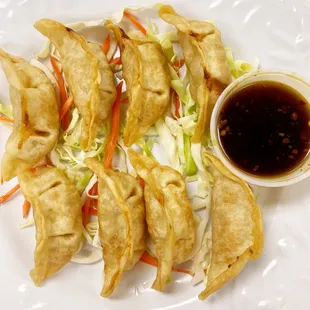 a plate of dumplings with sauce