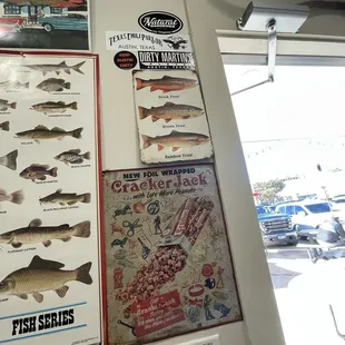 The fish.