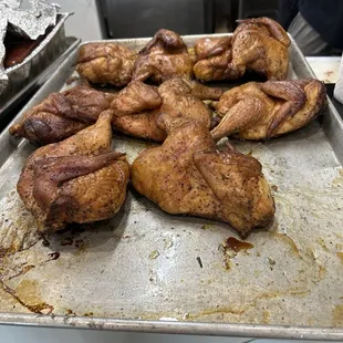 Chicken hanging out on the counter