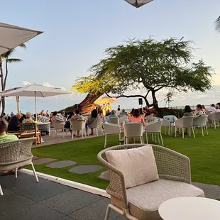 Most fresh salmon in Waikiki. Food is perfect!