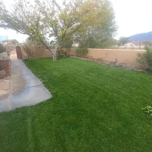 Here is our latest landscaping project, 30 days after we installed.