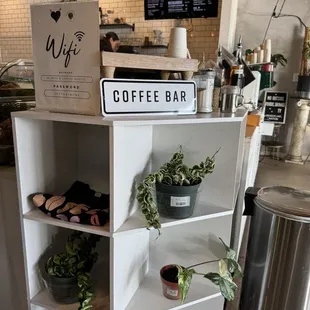 Merch and plants for sale