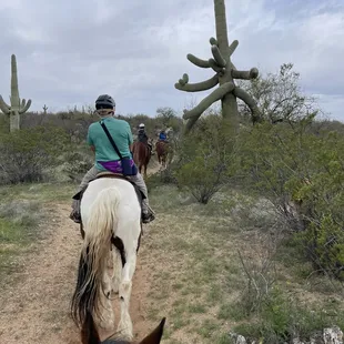 Riding in Saguaro National Park (Rincon Mountains District [east])