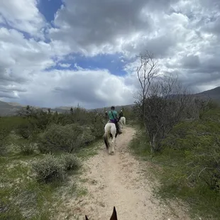Riding into Saguaro National Park (Rincon Mountains District [east])
