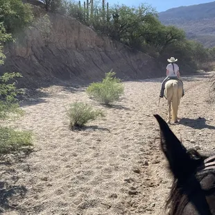 The peace and quiet on this route was absolutely amazing!