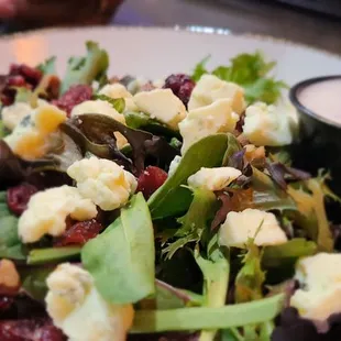 Cranberry Walnut Salad