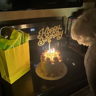 a dog looking at a birthday cake
