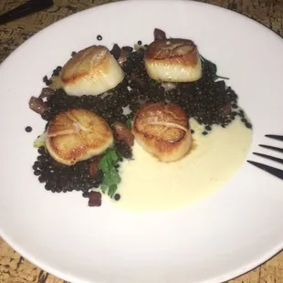 Sea Scallops