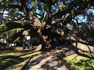 Jessie Ball DuPont Park