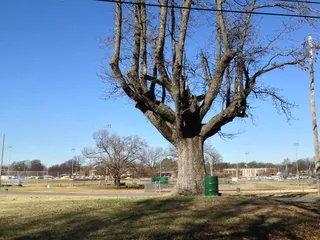 Frank Tobey Park