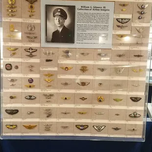 An insignia collection representing unnumbered thousands of pilots, crew, and flight attendants.
