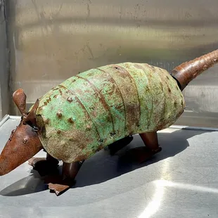 Cute armadillo art