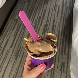 Delicious chocolate ice cream in cup with cone.