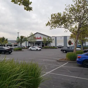 What is this place...