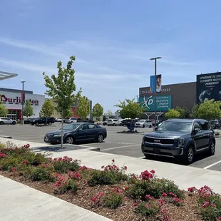 Century Theatres and Burlington