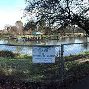 #Yelp #HoweCommunityPark #FultonElCaminoRecreationAndParkDistrict #FishingInTheCity #CAWildlife