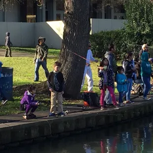 #Yelp #HoweCommunityPark #FultonElCaminoRecreationAndParkDistrict #FishingInTheCity #CAWildlife
