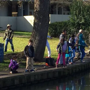 #Yelp #HoweCommunityPark #FultonElCaminoRecreationAndParkDistrict #FishingInTheCity #CAWildlife