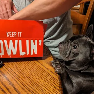 When the pup wants in on the goods