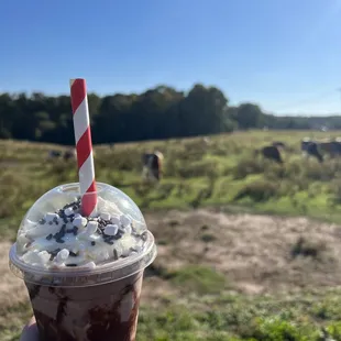 Frozen hot chocolate = heaven