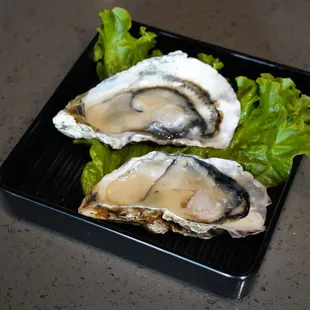 two oysters on a black plate