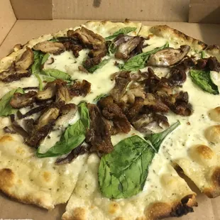 Duck Pizza