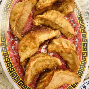 Pan Fried Meat Dumplings!