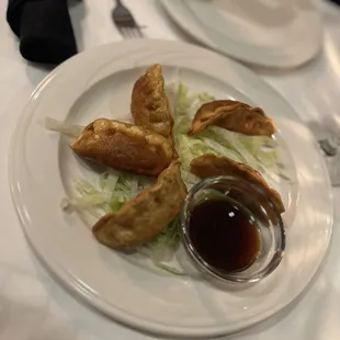 fried chicken dumplings