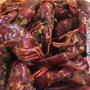 Yummy jumbo size crawfish for $7 a lb