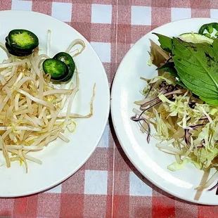 Noodle Soup