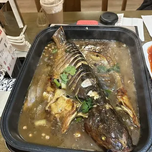 Soybean sauce Grilled Fish (Live) - comes with potatoes, Napa and tofu included!  (was too excited and ate a bite first)