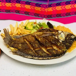 Mojarra / Tilapia