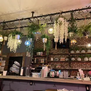 a bar with plants hanging from the ceiling