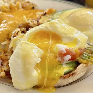 Avocado BenedictAvocado