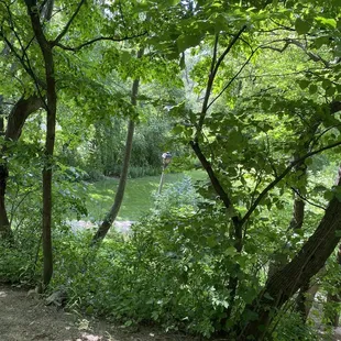 The Hubbard Park