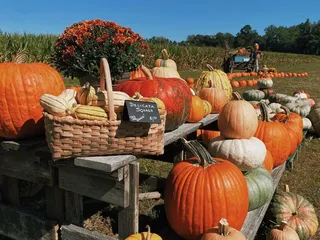 Goose Hill Farm