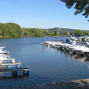 View from dining patio