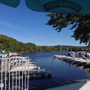 View from dining patio