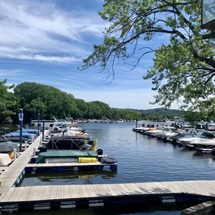 From our table on the patio.